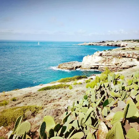 Apartman Domus Veretum