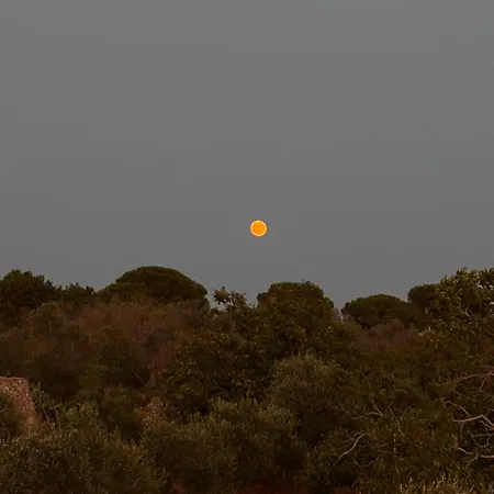 Domus Veretum Apartman Morciano di Leuca